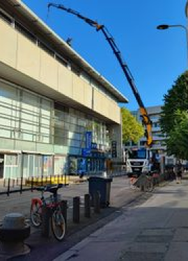 Grande grue
